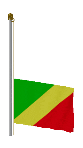 Republic Of The Congo Raise Pole animated flag GIF