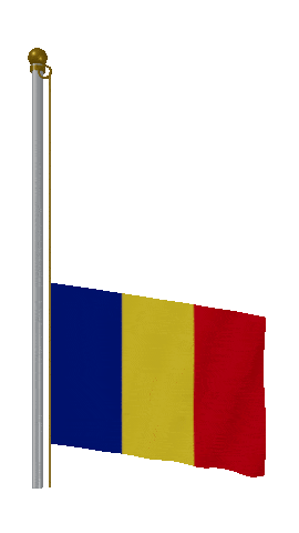 Romania Raise Pole animated flag GIF