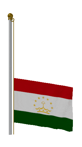 Tajikistan Raise Pole animated flag GIF