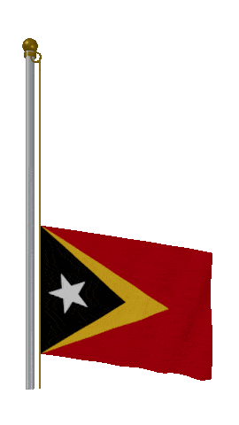 Timor Leste Raise Pole animated flag GIF