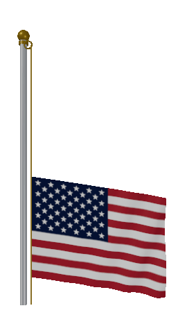 Raise Pole US flag GIF