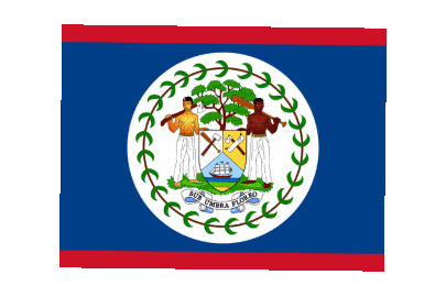 Belize Rect Float animated flag GIF