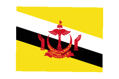 Brunei Rect Float animated flag GIF