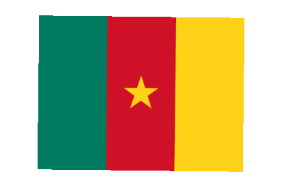 Cameroon Rect Float animated flag GIF