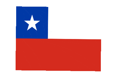 Chile Rect Float