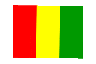 Guinea Rect Float
