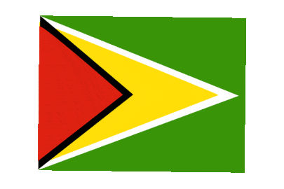 Guyana Rect Float