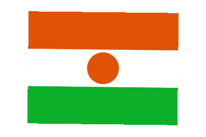 Niger Rect Float animated flag GIF