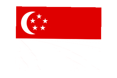 Singapore Rect Float animated flag GIF