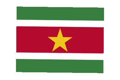 Suriname Rect Float animated flag GIF