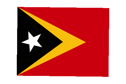Timor Leste Rect Float animated flag GIF