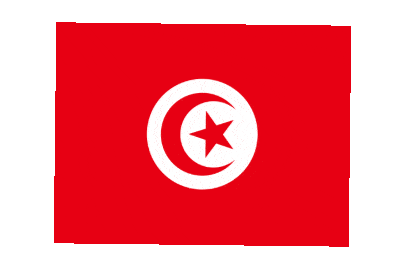 Tunisia Rect Float animated flag GIF