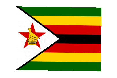 Zimbabwe Rect Float