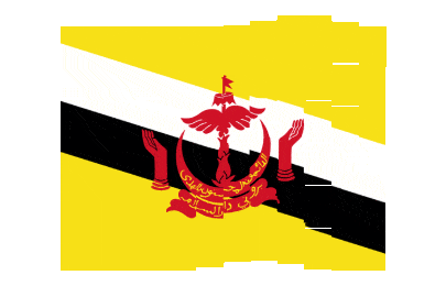 Brunei Pixel Chase animated flag GIF