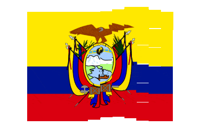Ecuador Pixel Chase animated flag GIF