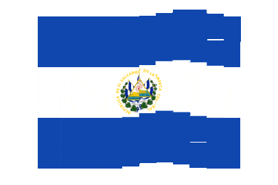 El Salvador Pixel Chase animated flag GIF