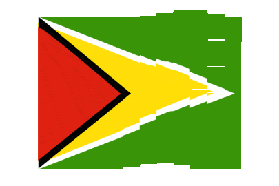 Guyana Pixel Chase animated flag GIF