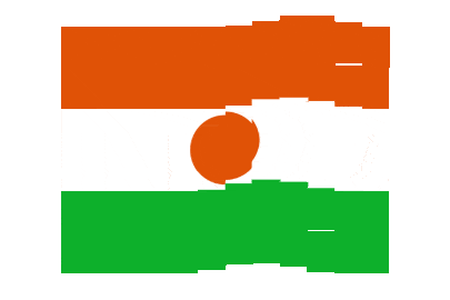 Niger Pixel Chase animated flag GIF