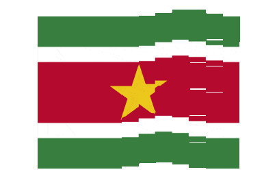 Suriname Pixel Chase animated flag GIF