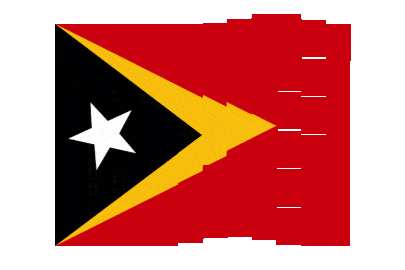 Timor Leste Pixel Chase animated flag GIF