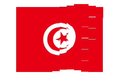 Tunisia Pixel Chase animated flag GIF