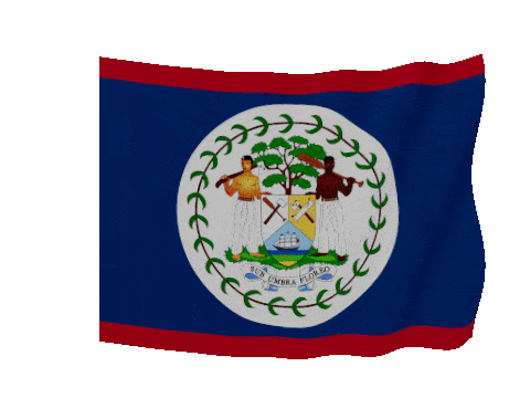 Belize Soft Sag animated flag GIF