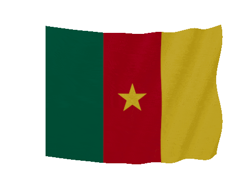 Cameroon Soft Sag animated flag GIF
