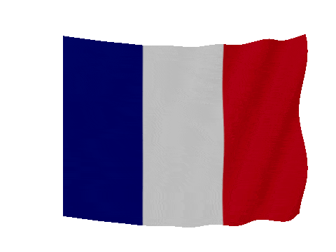 France Soft Sag animated flag GIF