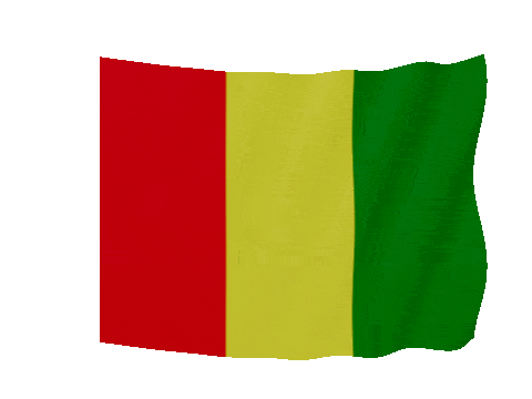 Guinea Soft Sag animated flag GIF