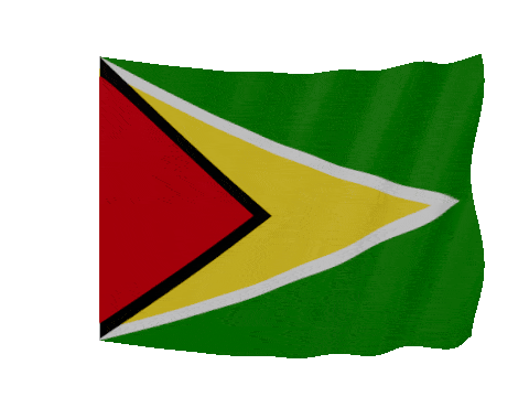 Guyana Soft Sag animated flag GIF