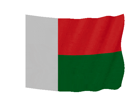Madagascar Soft Sag animated flag GIF