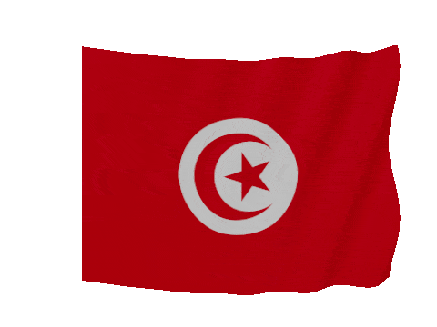 Tunisia Soft Sag animated flag GIF