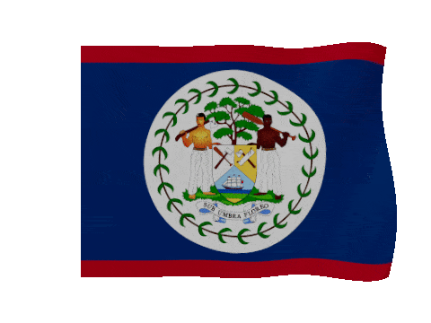 Belize animated waving flag GIF