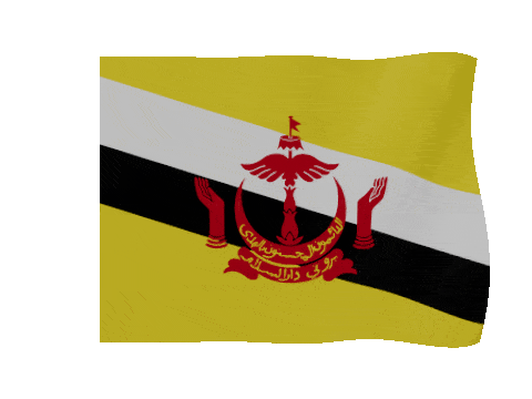 Brunei animated waving flag GIF