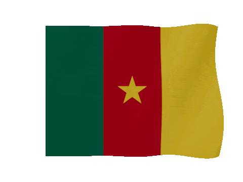 Cameroon animated waving flag GIF