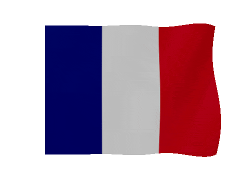 France animated waving flag GIF