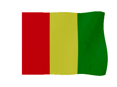 Guinea animated waving flag GIF