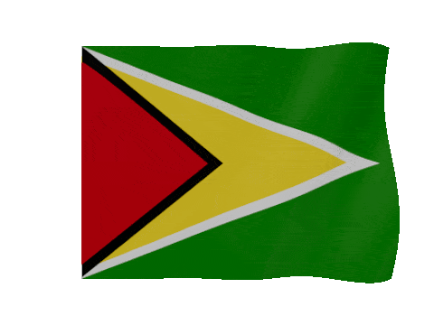 Guyana animated waving flag GIF