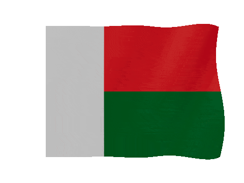 Madagascar animated waving flag GIF