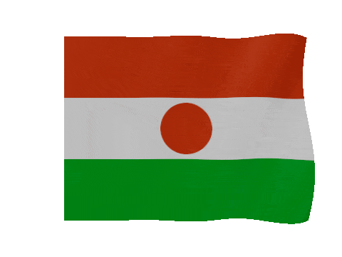 Niger animated waving flag GIF