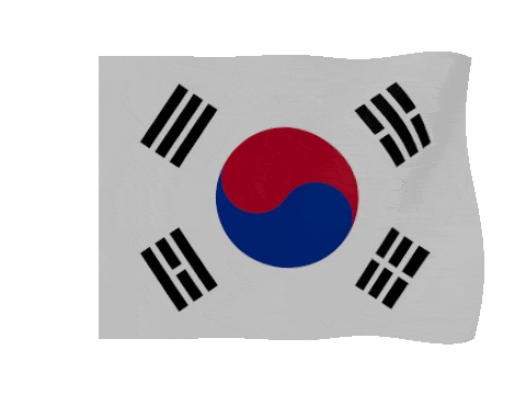 South Korea waving flag
