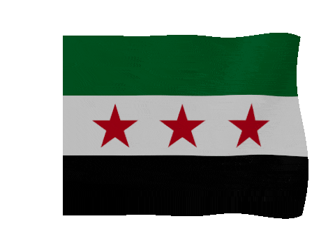 Syria animated waving flag GIF