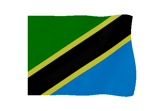 Tanzania animated waving flag GIF