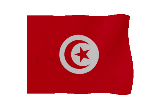 Tunisia animated waving flag GIF