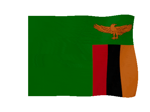 Zambia animated waving flag GIF